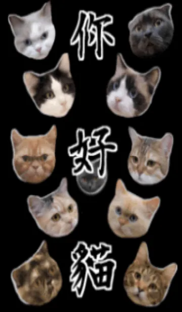 [LINE着せ替え] こんにちは，猫 ☆ 夜遊び _ 護目黒の画像1