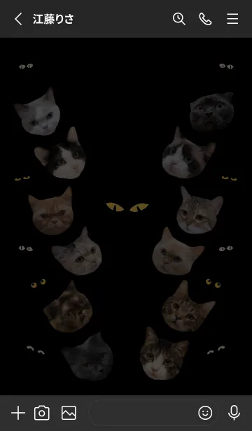 [LINE着せ替え] こんにちは，猫 ☆ 夜遊び _ 護目黒の画像2