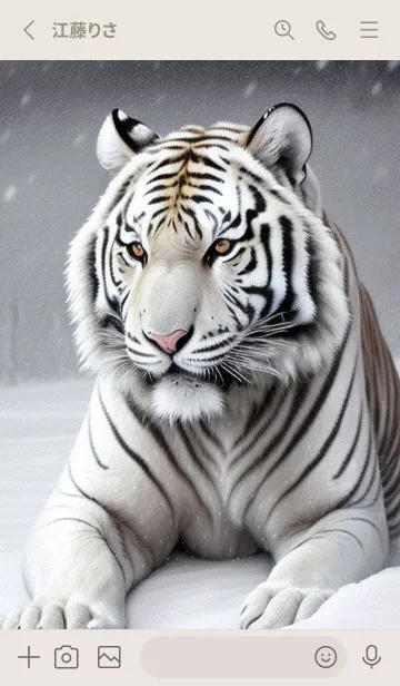 [LINE着せ替え] 虎，雪地の主 gKPLの画像2