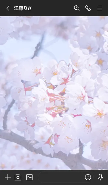 [LINE着せ替え] SakuraPhoto 131 Not AIの画像2