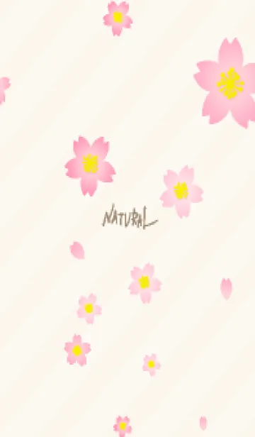 [LINE着せ替え] 桜舞う季節25の画像1