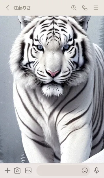 [LINE着せ替え] 虎，雪地の主 HS8Kの画像2