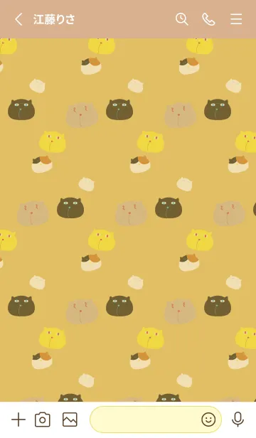 [LINE着せ替え] ぼんやりした猫 薄茶と黄色の画像2