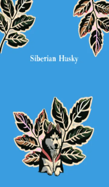 [LINE着せ替え] plants and siberian husky on blue JPの画像1