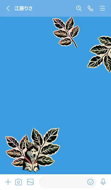 [LINE着せ替え] plants and siberian husky on blue JPの画像2