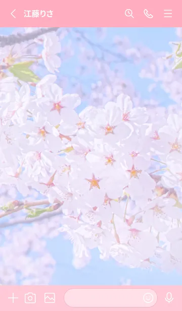 [LINE着せ替え] SakuraPhoto 146 Not AIの画像2