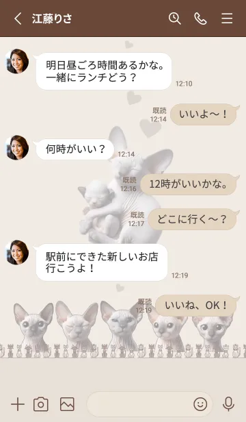 [LINE着せ替え] 表情変換_薄茶色 ☆ 毛無いの猫は毛あるの画像3