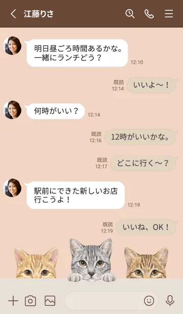 [LINE着せ替え] 猫 - ミックス 03 - シェルピンクの画像3