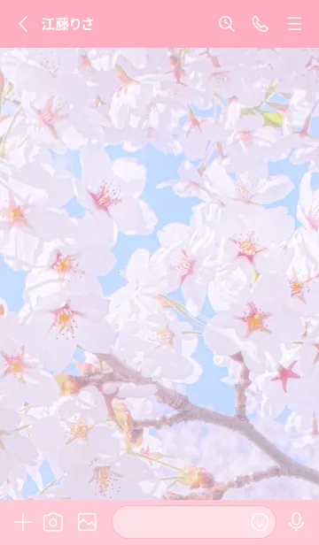 [LINE着せ替え] Sakura Photo 148 Not AIの画像2