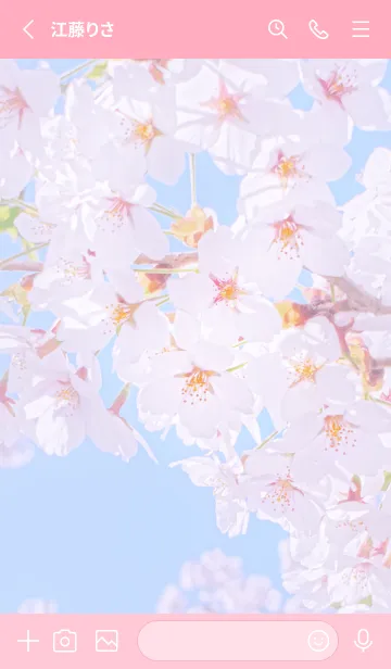 [LINE着せ替え] Sakura Photo 150 Not AIの画像2