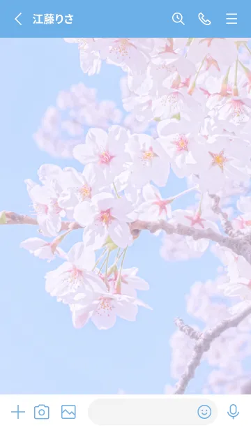 [LINE着せ替え] Sakura Photo 152 Not AIの画像2