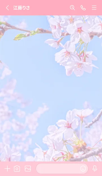 [LINE着せ替え] Sakura Photo 153 Not AIの画像2