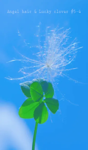 [LINE着せ替え] ケサランパサラン & Lucky clover #5-4の画像1