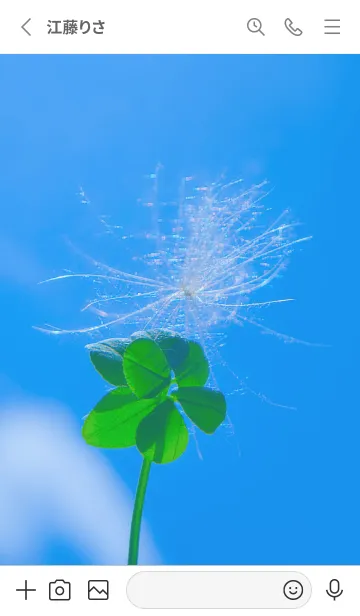 [LINE着せ替え] ケサランパサラン & Lucky clover #5-4の画像2