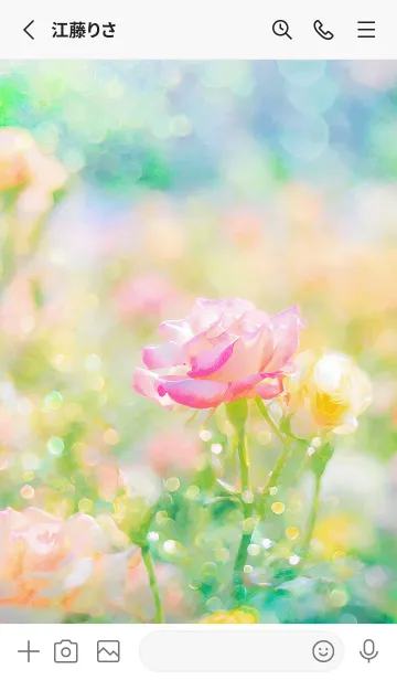 [LINE着せ替え] 薔薇(バラ)の花の着せかえ(R3162)の画像2