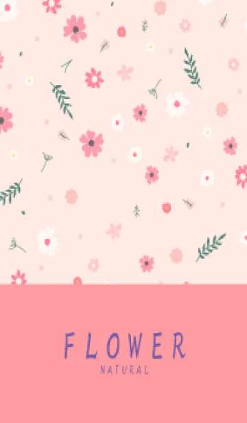 [LINE着せ替え] FLOWER SALMONPINK -NATURAL50の画像1