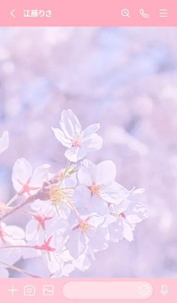 [LINE着せ替え] Sakura Photo 154 Not AIの画像2