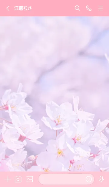 [LINE着せ替え] Sakura Photo 155 Not AIの画像2