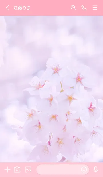 [LINE着せ替え] Sakura Photo 157 Not AIの画像2