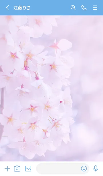 [LINE着せ替え] Sakura Photo 158 Not AIの画像2