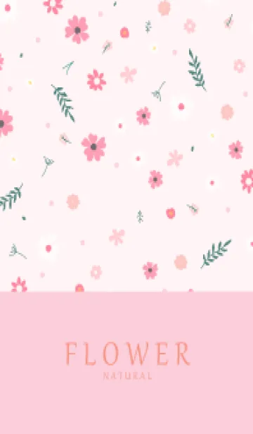 FLOWER PINK -NATURAL81の着せ替えメイン画像