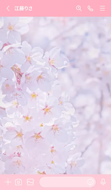 [LINE着せ替え] Sakura Photo 160 Not AIの画像2