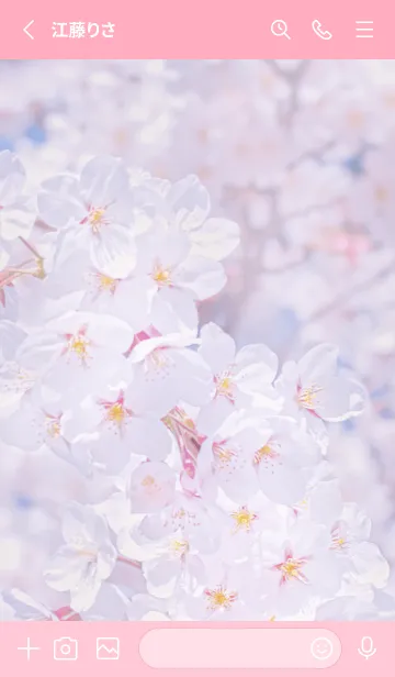 [LINE着せ替え] Sakura Photo 161 Not AIの画像2