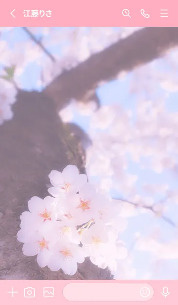 [LINE着せ替え] Sakura Photo 165 Not AIの画像2