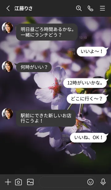 [LINE着せ替え] Sakura Photo 166 Not AIの画像3