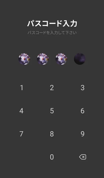 [LINE着せ替え] Sakura Photo 166 Not AIの画像4