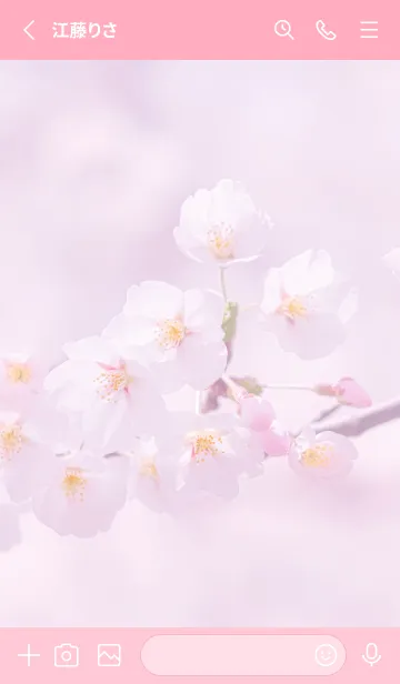 [LINE着せ替え] Sakura Photo 170 Not AIの画像2