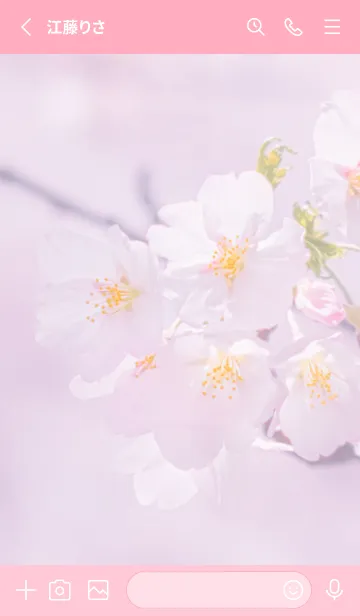 [LINE着せ替え] Sakura Photo 172 Not AIの画像2