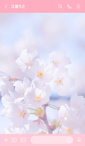 [LINE着せ替え] Sakura Photo 180 Not AIの画像2