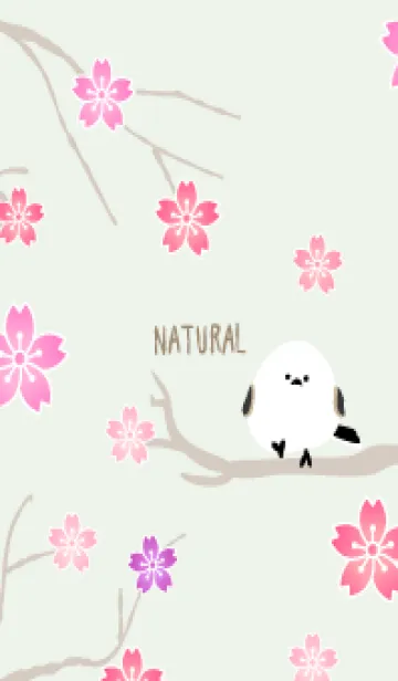 [LINE着せ替え] シマエナガ 桜16の画像1