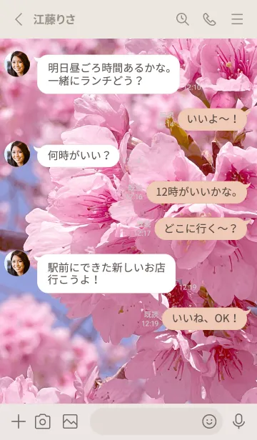 [LINE着せ替え] Spring is almost here-SAKURA PINK25の画像3