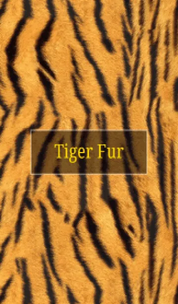 [LINE着せ替え] Tiger Fur 3の画像1