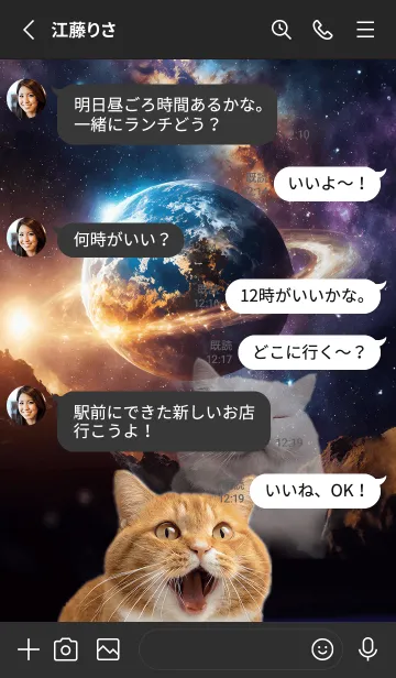 [LINE着せ替え] 【 宇宙猫 】茶トラverの画像3