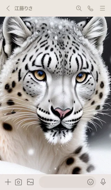 [LINE着せ替え] 夢幻の白いスノーヒョウ 7yRaの画像2