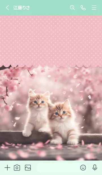 [LINE着せ替え] 猫と桜♡polka dot - 幸運・恋愛運UPにもの画像2