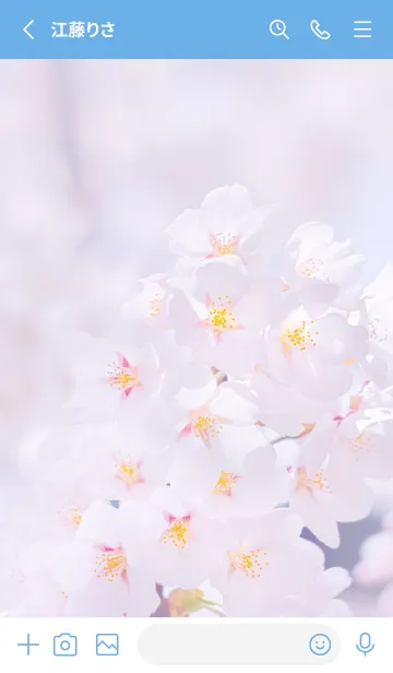 [LINE着せ替え] Sakura Photo 186 Not AIの画像2