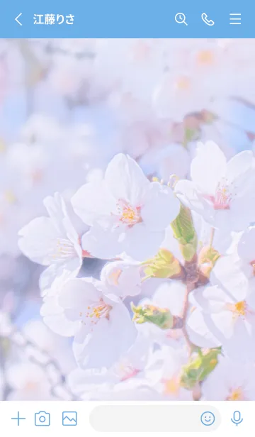 [LINE着せ替え] Sakura Photo 189 Not AIの画像2