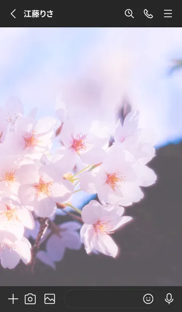 [LINE着せ替え] Sakura Photo 190 Not AIの画像2