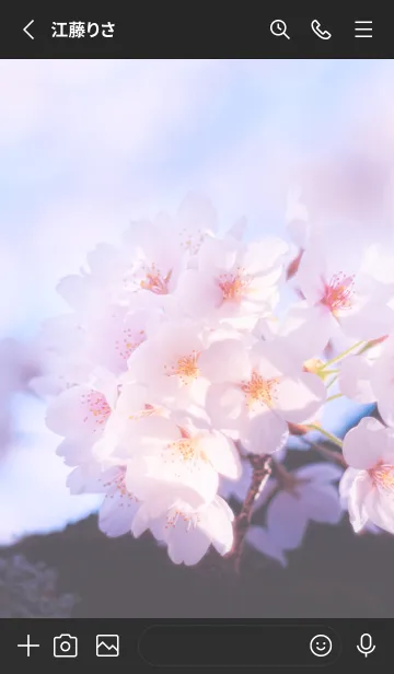 [LINE着せ替え] Sakura Photo 191 Not AIの画像2