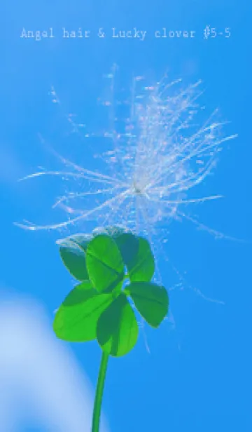 [LINE着せ替え] ケサランパサラン & Lucky clover #5-5の画像1