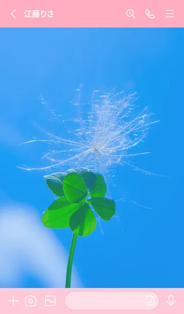 [LINE着せ替え] ケサランパサラン & Lucky clover #5-5の画像2