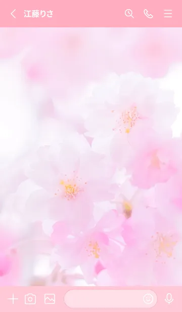 [LINE着せ替え] Real double cherry blossom #1-1の画像2