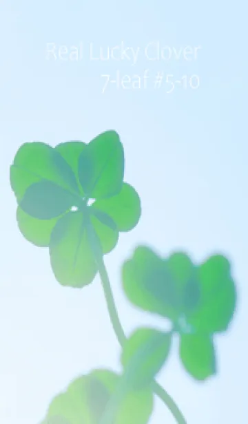 [LINE着せ替え] Real Lucky Clover 7-leaf #5-10の画像1