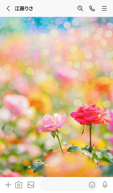 [LINE着せ替え] 薔薇(バラ)の花の着せかえ(R3321)の画像2