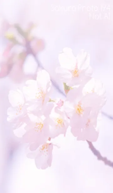 [LINE着せ替え] Sakura Photo 194 Not AIの画像1