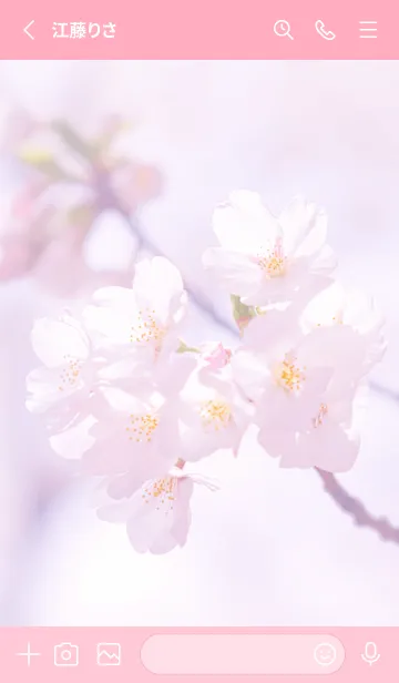 [LINE着せ替え] Sakura Photo 194 Not AIの画像2